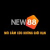 Picture of New888 me