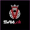 Picture of SV66 ch