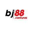 Picture of bj88 ventures
