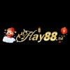 Picture of hay88 ltd