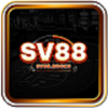 Picture of SV88 rocks