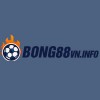 Picture of bongda88 vninfo