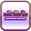 Picture of Xocdia88 fashion