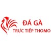 Picture of Đá Gà Trực Tiếp Thomo Hôm Nay