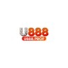 Picture of U 888
