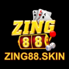 Picture of Zing88 Skin