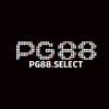 Picture of PG88 SELECT