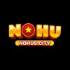 Picture of Nohus City