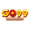 Picture of Go99VN City