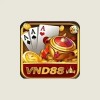 Picture of vnd88 us