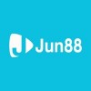 Picture of Jun88 Consulting
