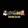 Picture of HAY88 BLOG
