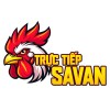 Picture of Trực Tiếp Đá Gà