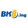 Picture of BK8 ING