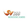 Picture of SV388 mindincambs