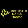 Picture of Đá Gà Trực Tiếp Thomo