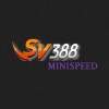 Picture of sv388 minispeed