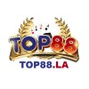 Picture of top88 la