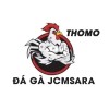 Picture of ĐÁ GÀ TRỰC TIẾP THOMO HÔM NAY