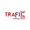 Picture of Traffic seotop