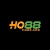 Picture of Ho88 Site