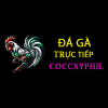 Picture of Đá Gà Cựa Dao Philippin