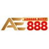 Picture of ae888b buzz