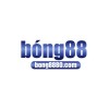 Picture of BONG 88