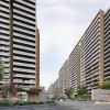 Picture of Prestige Evergreen