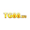 Picture of TG88 WS
