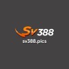 Picture of SV388 Pics