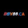 Picture of PBV88 CA