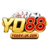 Picture of Yo88 viuk