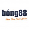 Picture of Bong88 fashion