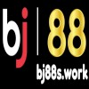 Picture of bj88s work