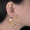 Picture of Gold Earrings
