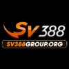 Picture of SV388 2025