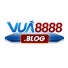 Picture of VUA8888 BLOG