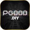 Picture of pg888 diy