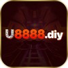 Picture of u8888 diy