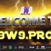 Picture of bw9 bw9