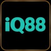 Picture of iq88 me